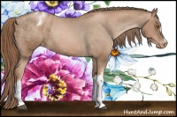 Horse Color:Liver Chestnut Pearl Appaloosa