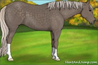 Horse Color:Silver Black 