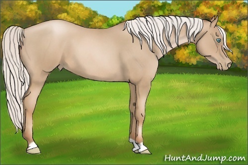 Horse Color: Silver Smoky Blue Roan Pearl 