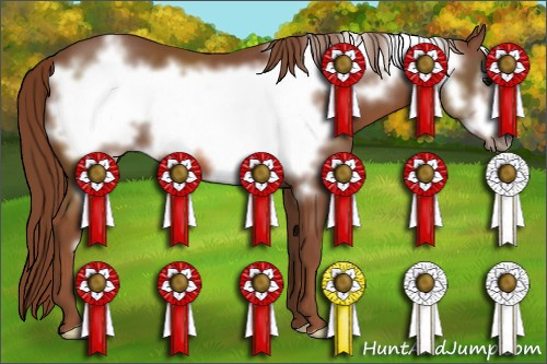 Horse Color: Liver Chestnut Frame 