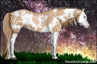 Horse Color:White Spotted Chestnut Pearl Splash