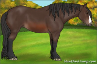 Horse Color:Brown 
