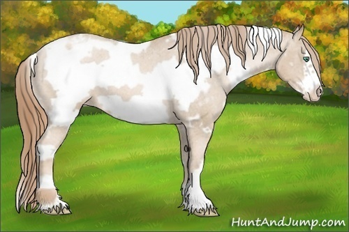 Horse Color: White Spotted Smoky Black Pearl Frame Snowcap 