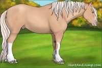 Horse Color:Silver Sable Champagne