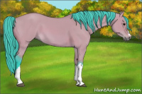 Horse Color:Watercolor Bay Dun 