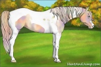 Horse Color:Nacre Gold Cream Champagne Dun Tobiano 