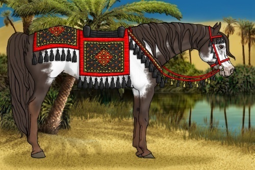Horse Color: Liver Chestnut Frame 