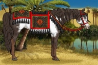 Horse Color:Liver Chestnut Frame 