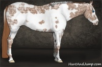 Horse Color:White Spotted Chestnut Ice Frame 