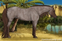 Horse Color:Liver Red Roan 