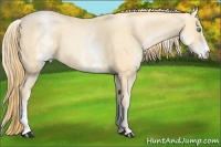 Horse Color:White Spotted Smoky Black Pearl