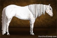Horse Color:Bay Roan Snowcap