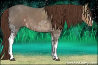Horse Color:White Spotted Liver Chestnut Ice 