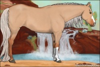 Horse Color:Silver Bay Roan Dun 