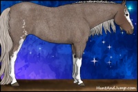 Horse Color:White Spotted Silver Blue Roan 