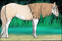 Horse Color:Buckskin Ice Pearl Splash 