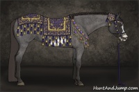 Horse Color:Liver Red Roan Frame 