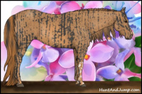 Horse Color:Brown Rabicano  Brindle