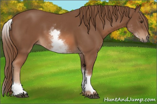 Horse Color: White Spotted Chestnut Sabino 