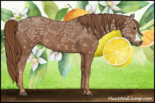 Horse Color: Chestnut Ice Frame 