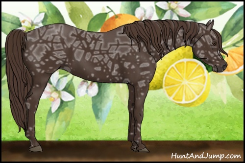 Horse Color: Liver Chestnut Ice 