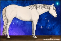 Horse Color:Perlino 