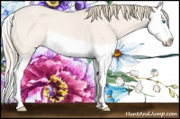 Horse Color:Perlino Dun Splash 