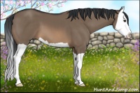 Horse Color:Brown Dun Splash 