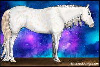 Horse Color:Gold Champagne Roan Dun Splash Tobiano Frame Blanket Rabicano 