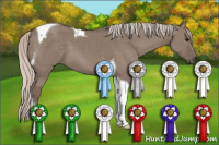 Horse Color:Silver Grullo Tobiano 