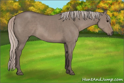 Horse Color: Silver Grullo Sabino 
