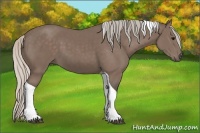 Horse Color:Silver Black Tobiano 