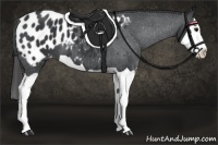 Horse Color:Black Splash Appaloosa 