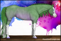Horse Color:Watercolor Brown Roan Splash 