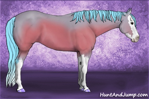 Horse Color:Watercolor Brown Splash