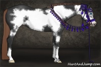 Horse Color:Liver Chestnut Frame 