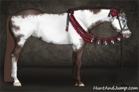 Horse Color:Liver Chestnut Frame
