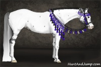 Horse Color:Blue Roan Splash Near Fewspot 