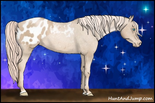 Horse Color: Chocolate Palomino Pearl Sabino Blanket Rabicano 