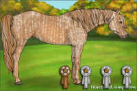 Horse Color:Liver Red Dun Mushroom  Brindle