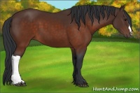 Horse Color:Brown 