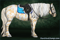 Horse Color:Palomino Roan Leopard 