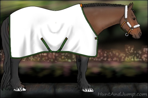 Horse Color: Bay 