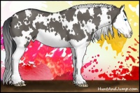 Horse Color:White Spotted Grullo Splash 