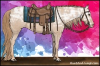 Horse Color:Chestnut Ice Appaloosa 