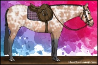 Horse Color:Bay Ice Roan 