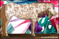 Horse Color:Chestnut Ice 