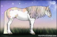 Horse Color:Nacre Silver Amber Champagne Roan Dun Splash Frame Rabicano