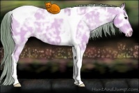 Horse Color:Watercolor Bay Ice Tobiano Appaloosa 