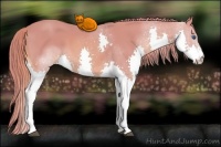 Horse Color:Watercolor Chestnut Splash 